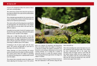 A Random Selection Of Pages From The Book Are Shown - Snowy Owl