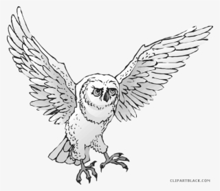 Snowy Owl Clipart Real Owl - Clip Art
