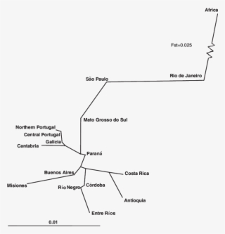Neighbour Joining Tree Based On Pairwise F St Genetic - Sahara