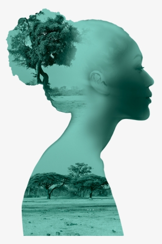 Africa Supply Chain - Africa