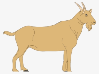 Billy Goat Clipart Line Art - Ruminant Digestive System Blank