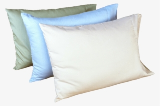 The White Lotus Home Newsletter Is The Fastest Way - Cushion