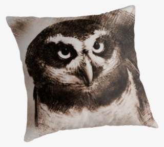 Owl Sketch 05 By Fantasytripp - Owl