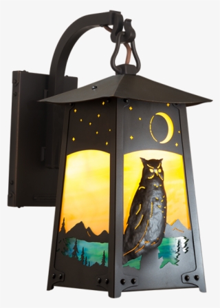 Baldwin Series Hook Arm Mount With Great Horned Owl - Ceiling Fixture