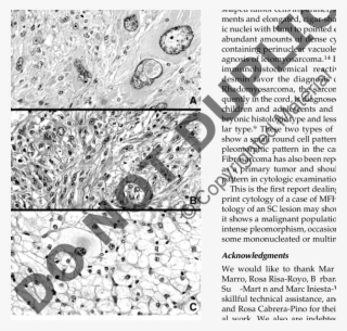 Neoplastic Proliferation Of Atypical Cells With High - Zellballen