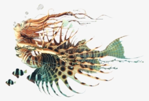 Visit - Lionfish Mermaid