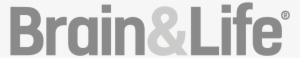 The Magazine - Graphics