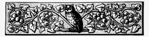 Big Image - Owl Divider Png