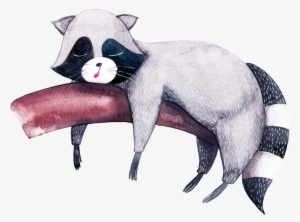 This Backgrounds Is Gray Pandcartoon Watercolor Delicate - Обои На Рабочий Стол Скачать Еноты