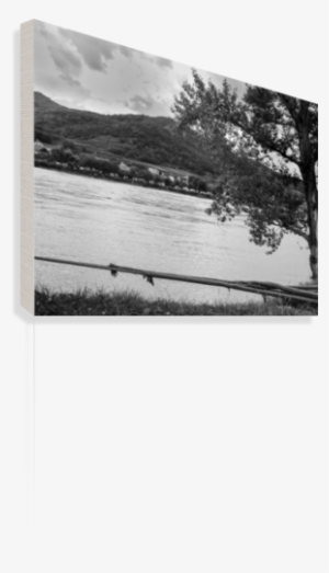 Swiggity Squiggly Lines By Rf Canvas Print - Canvas Print