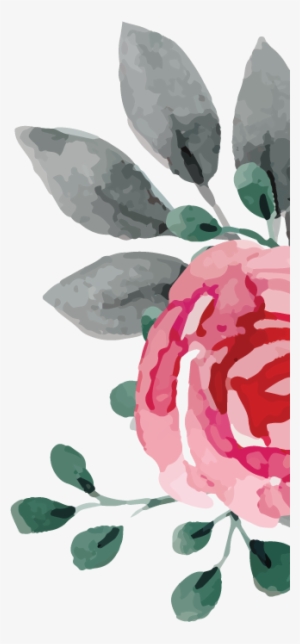 Collections - Illustration