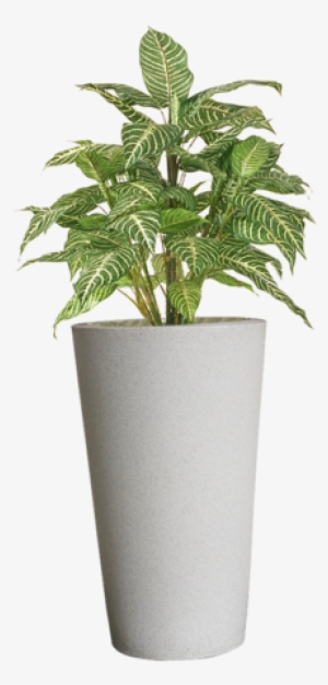 Flower Pots Png Png Stock - Plant In Pot Png