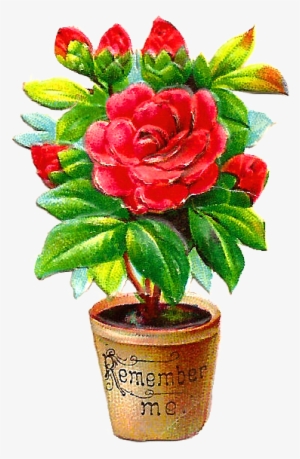 Free Flower Clip Art - Flower Pot Png Png