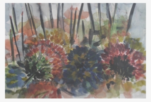 Baby Octopus - Octopus