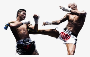 Are You Looking To Get Fit And Healthy Perhaps You - Professional Boxing