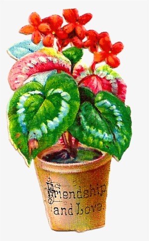 Free Flower Graphic - Flowerpot
