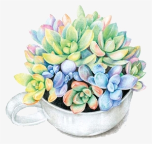 Paper Colored Pencil Succulent Plant Watercolor Painting - Flower Pot Png Paper