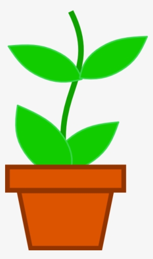 Pot Plant Clipart Transparent - Flower Plants In Pot Png - 424x500 PNG ...