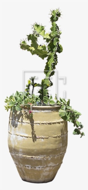 Parent Category - Big Plant Pot Png