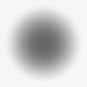 File History - Rifle Target