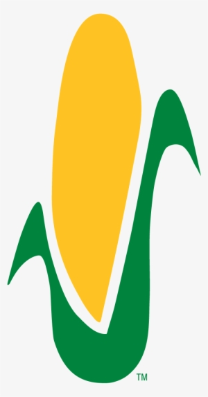 Corn Stalk Coloring Page - Color