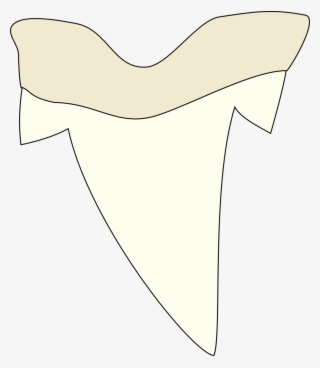 Shark Tooth Clip Art At Clipartimage - Shark Tooth Clip Art