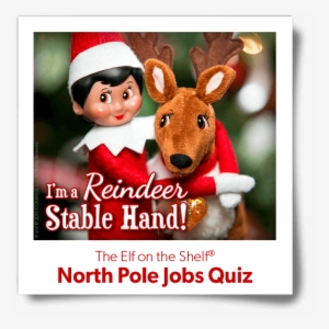 Animal - Elf On The Shelf North Pole Jobs