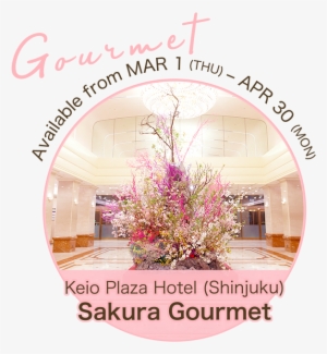 Sakura Goods Sakura Goods - Gourmet