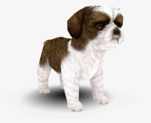 Download Zip Archive - Nintendogs + Cats