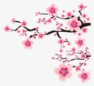 Sakura Png - Cherry Blossom Vector Transparent