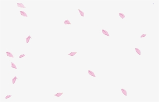 Sakura Petals Flower Floral Falling Floating Pink - Sakura Petals