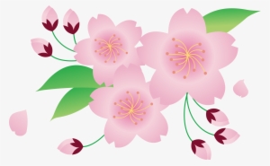 Big Image - さくら イラスト 無料