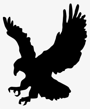 Gifs De Aguilas Kung Fu - Eagle Black & White
