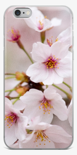 Ablyth Iphone Case, Travel Japan Series - Cherry Blossom