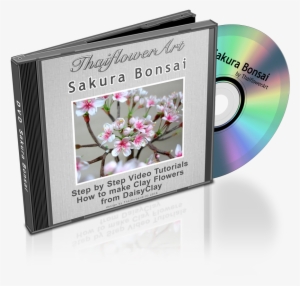 Microsoft Office 2010 Portable