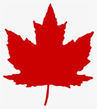 Maple Leaf - Canadian Maple Leaf Png