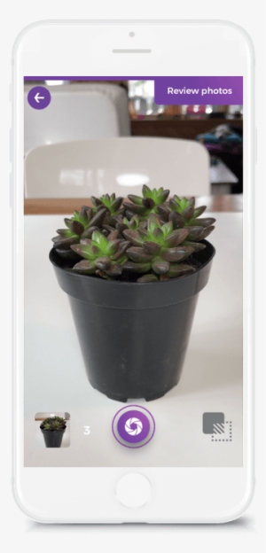 Flash Clipart Snapshot Camera - Camera