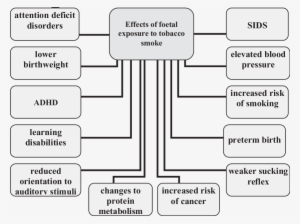 The Effects Of Fetal Exposure To Constituents Of Tobacco - Number