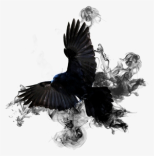Unique Pictures Effects Of Smoking Crow Smoke Png By - Bruno Schulz Nowy Lepszy Człowiek