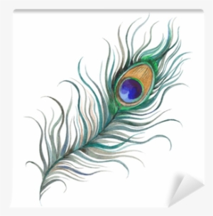 Plumes De Paon Aquarelle