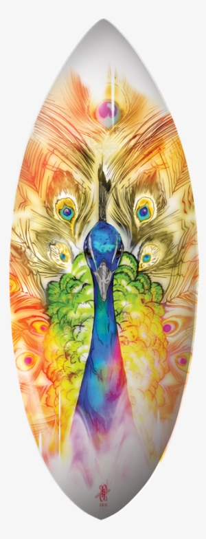 Peacock Skimboard - Peacock Surfboards