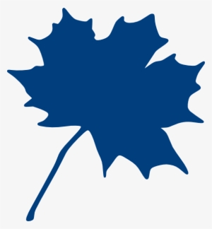 Maple Leaf Fa Svg Clip Arts 552 X 597 Px