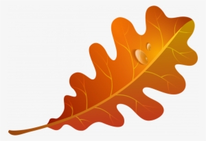Autumn Leaf Clipart