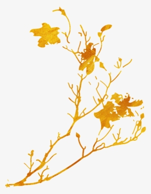 Maple Leaf Png - Portable Network Graphics