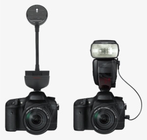 Hink Spacefish - Canon Sr-n3 Remote Release Cord