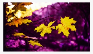 Погода В Октябре В Украине