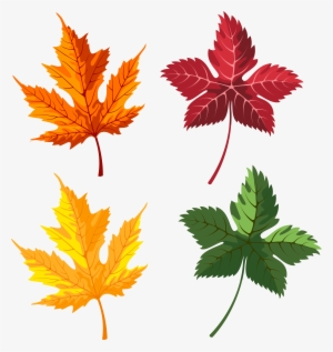 Leaves Png Image Gallery Yopriceville High View - Maple Leaf