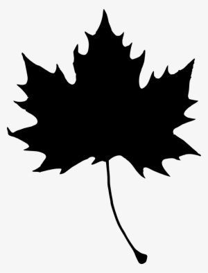 Maple Leaves Silhouette At Getdrawings - Portable Network Graphics