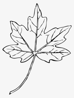 Maple Leaf Clip Art At Clker - White Maple Leaf Clipart