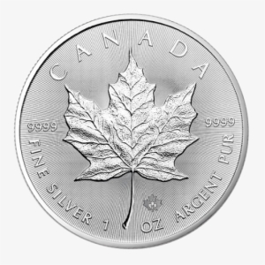 Maple - Maple Leaf Privy Panda